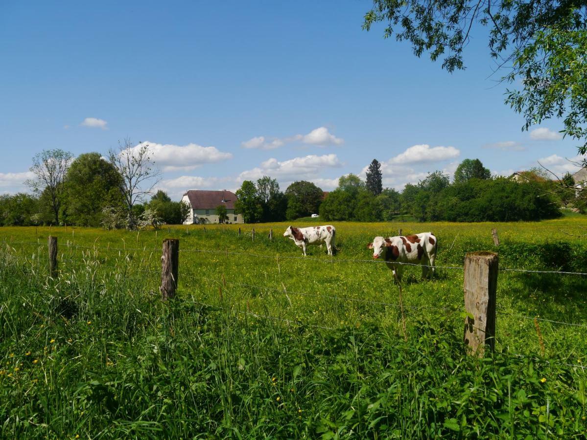 La Maison Au Vert Melincourt Luaran gambar